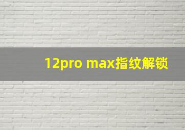 12pro max指纹解锁